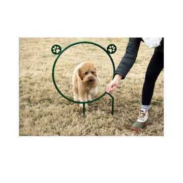 622dp660-mini-hoop-jump-barkpark-dog-park-equipment