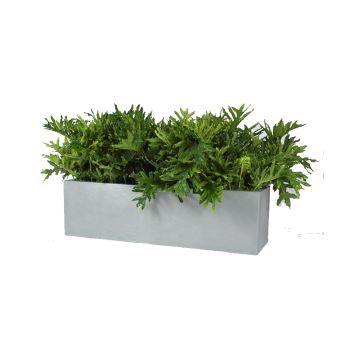 Planter-Cannon-Rectangular-Molded-Fiberglass-342pl150