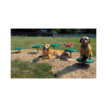 US-BP-PBARK-470-Stepping-Paws-Lifestyle-622dp130
