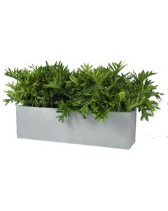 Cannon - Rectangular - Molded Fiberglass - Planter