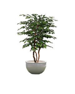 Orlando - Round - Low Profile - Molded Fiberglass - Planter