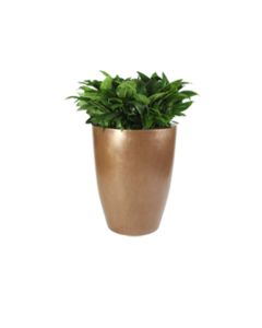 Raleigh - Tall - Molded Fiberglass - Planter
