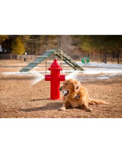 Misting Fire Hydrant - BarkPark - Dog Park Equipment