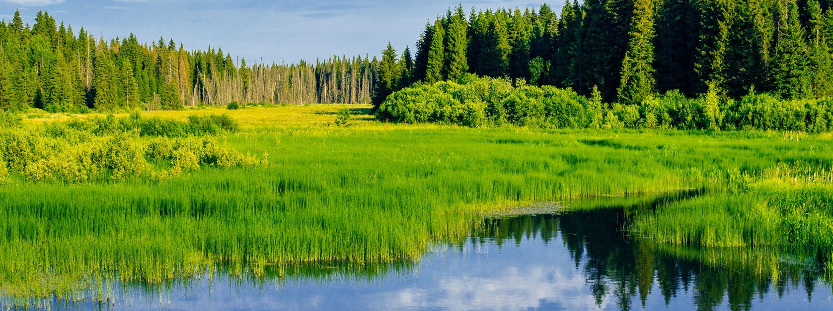 How the National Parks Got Their Names – Part 1