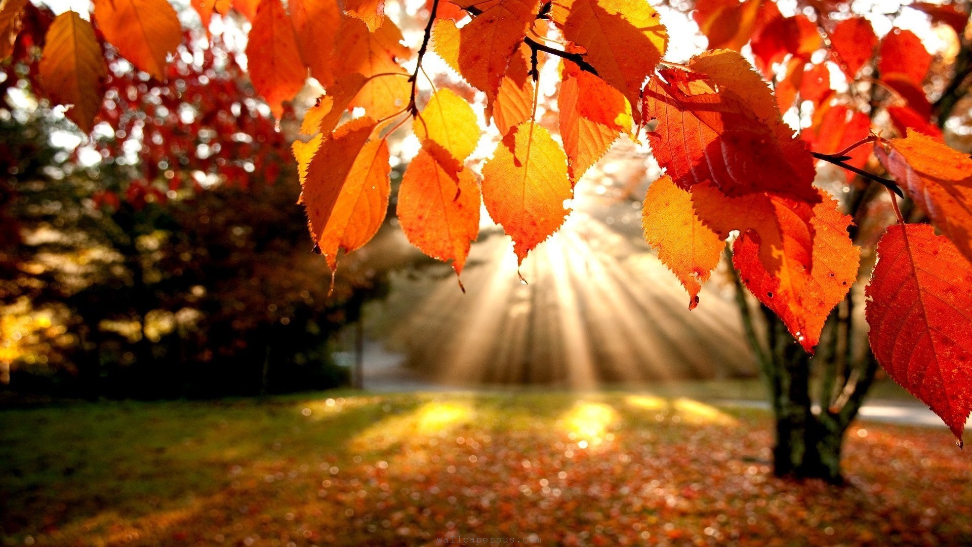 State Parks to Visit in the Fall Season