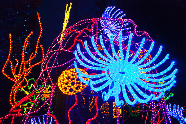 Top 15 US Parks to Visit for Spectacular Holiday Lights